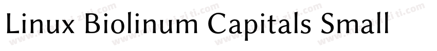 Linux Biolinum Capitals Small CapsV字体转换
